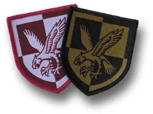 16 AIR ASSAULT DZ BADGE