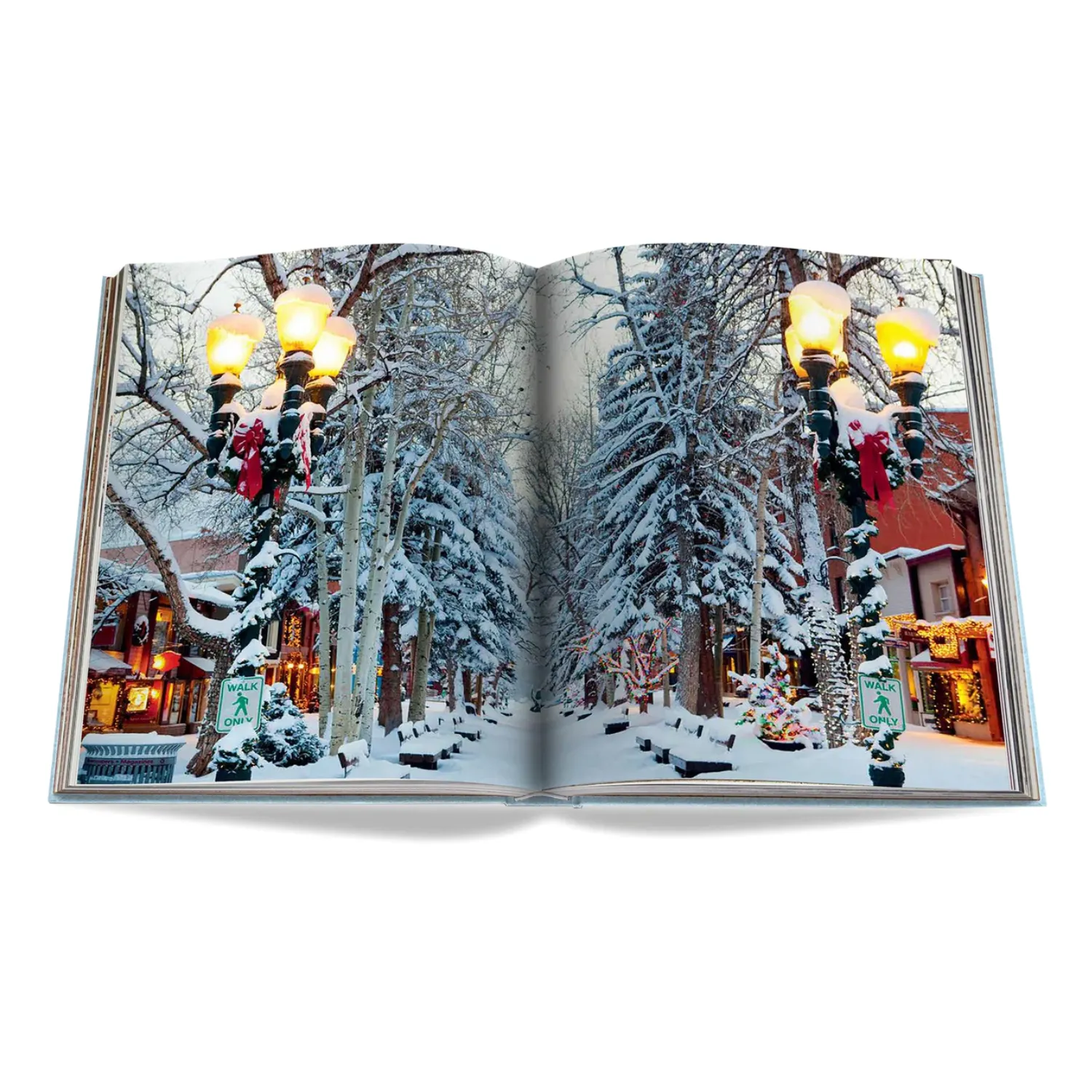 Assouline Aspen Style Cloth Hardcover Book