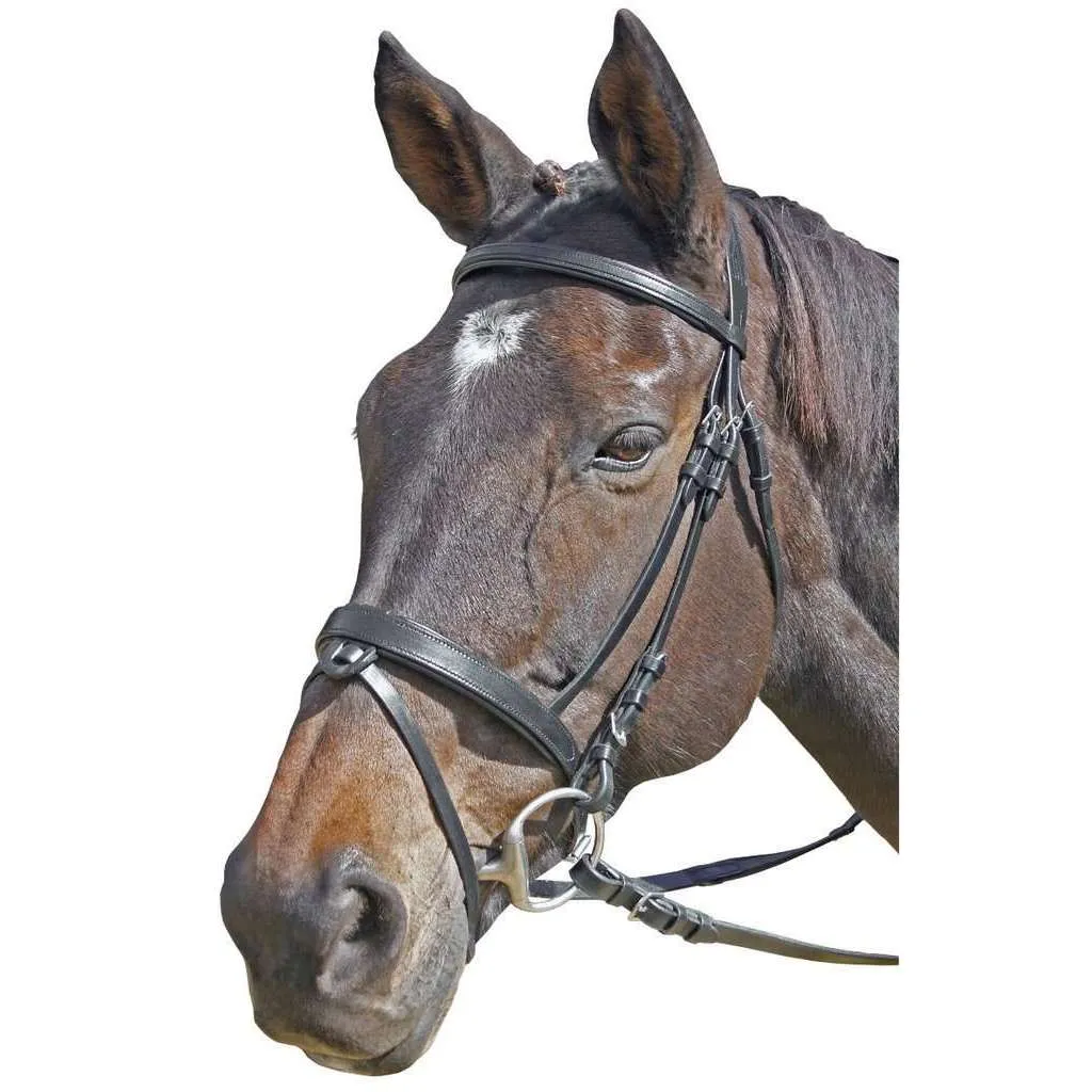 Cavallino Flat Padded Bridle W/Reins