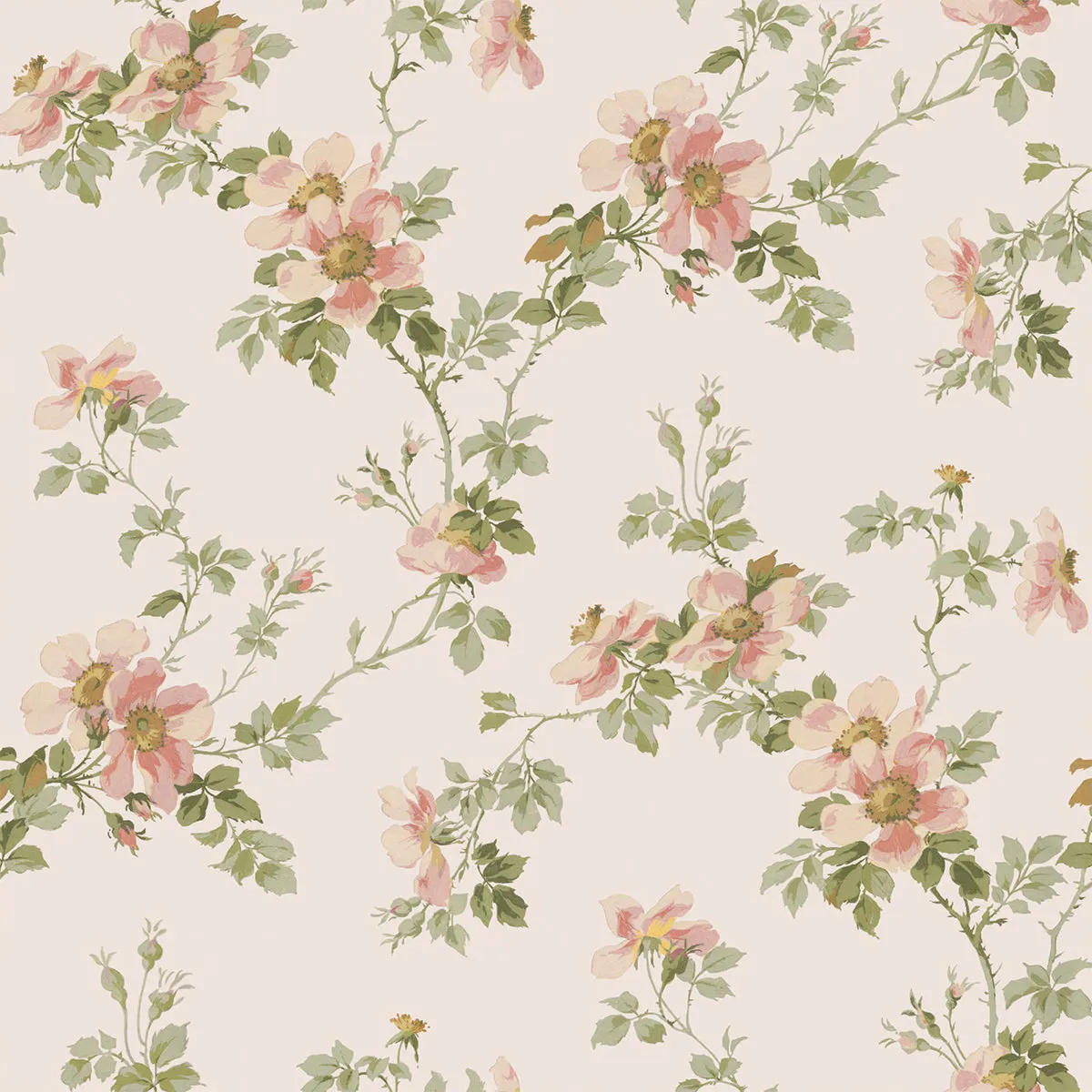 Cream Blush Field Rose Wallpaper