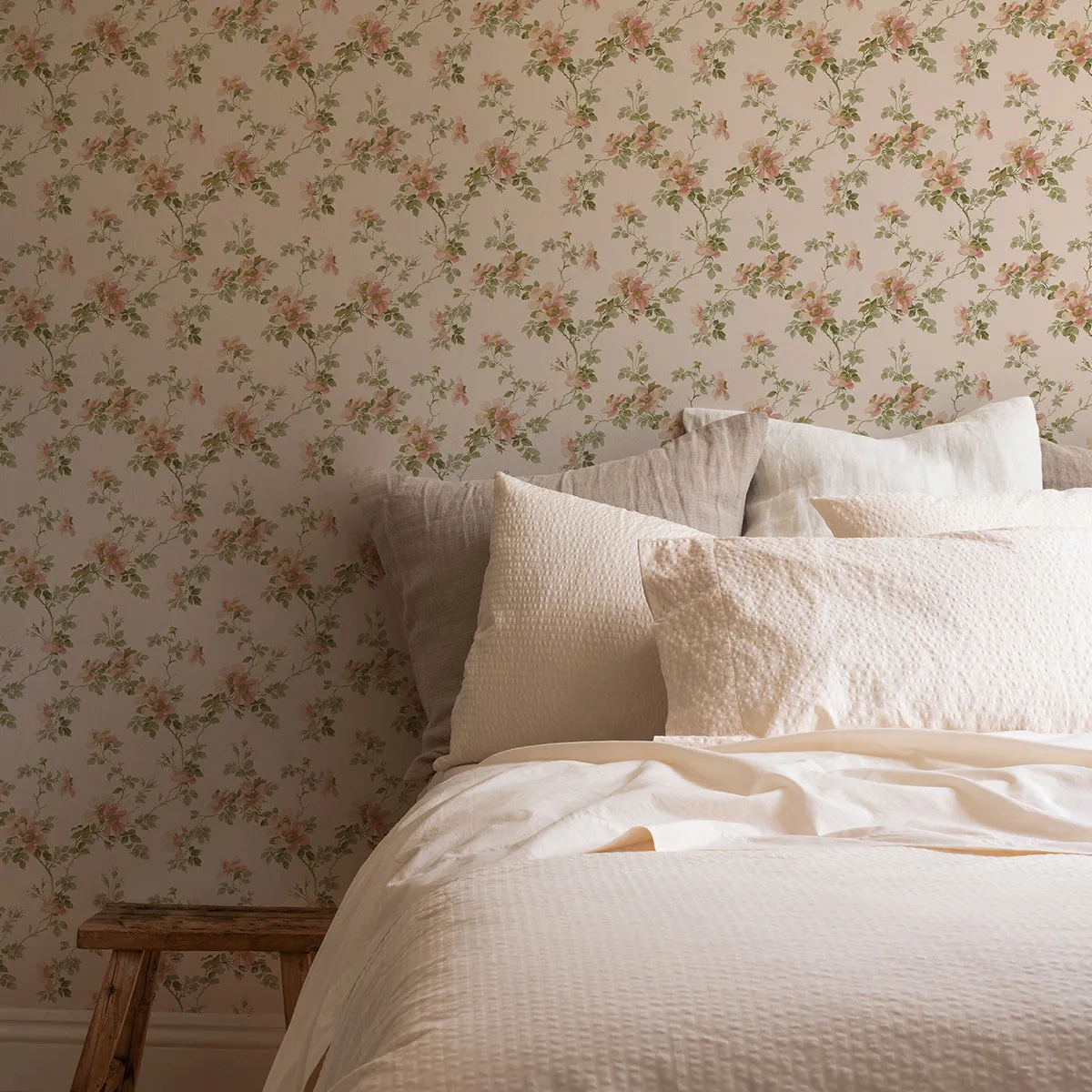 Cream Blush Field Rose Wallpaper