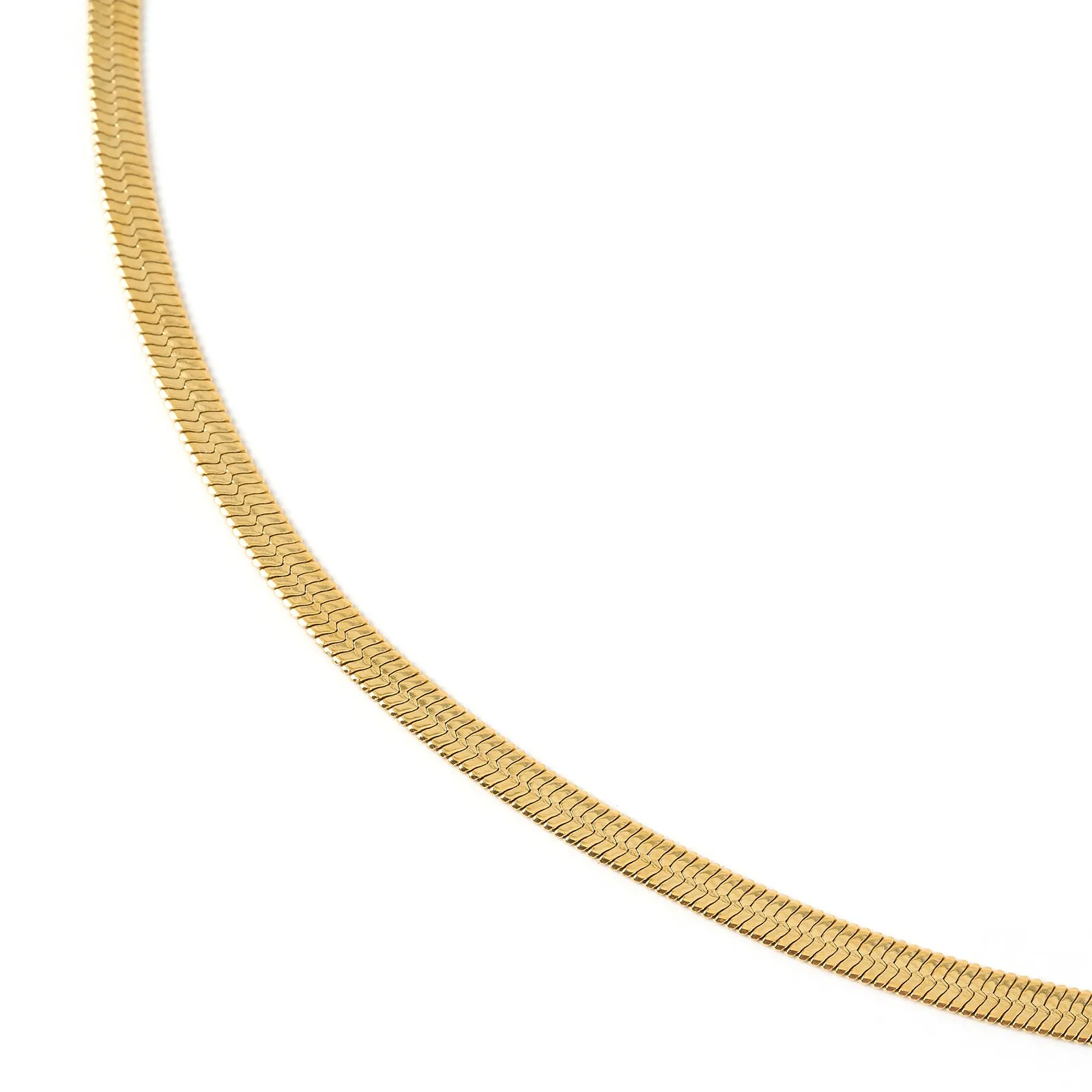 Sylvia Gold Snake Chain Necklace